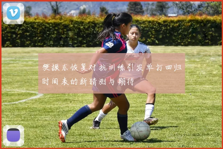 樊振东恢复对抗训练引发单打回归时间表的新猜测与期待